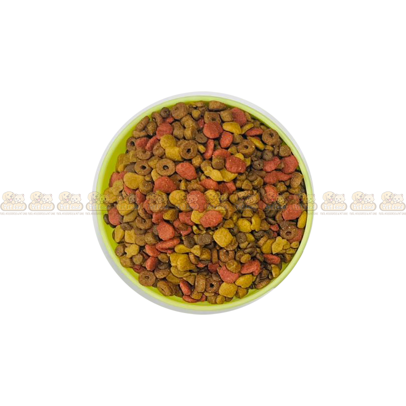 Premium Mix Flavour Cat Food (Over 4 Months)